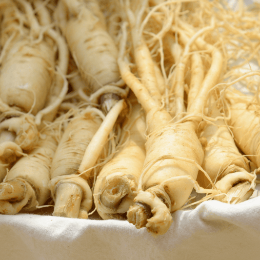Ginseng Preparation